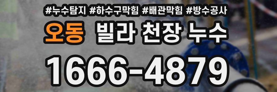 오동 빌라 천장 누수