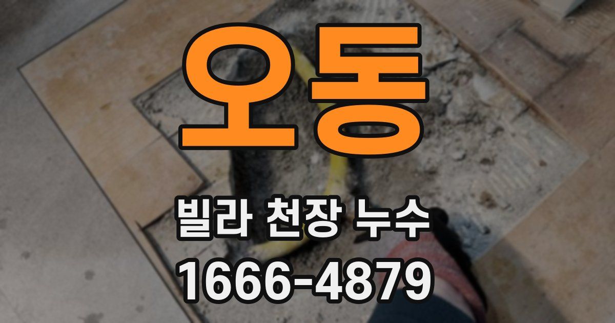 오동 빌라 천장 누수