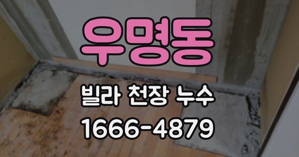 우명동 빌라 천장 누수