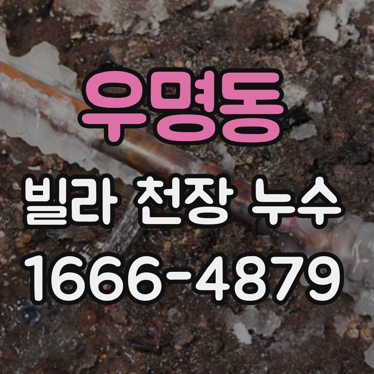 우명동 빌라 천장 누수