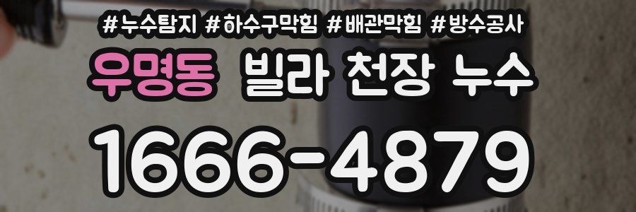 우명동 빌라 천장 누수