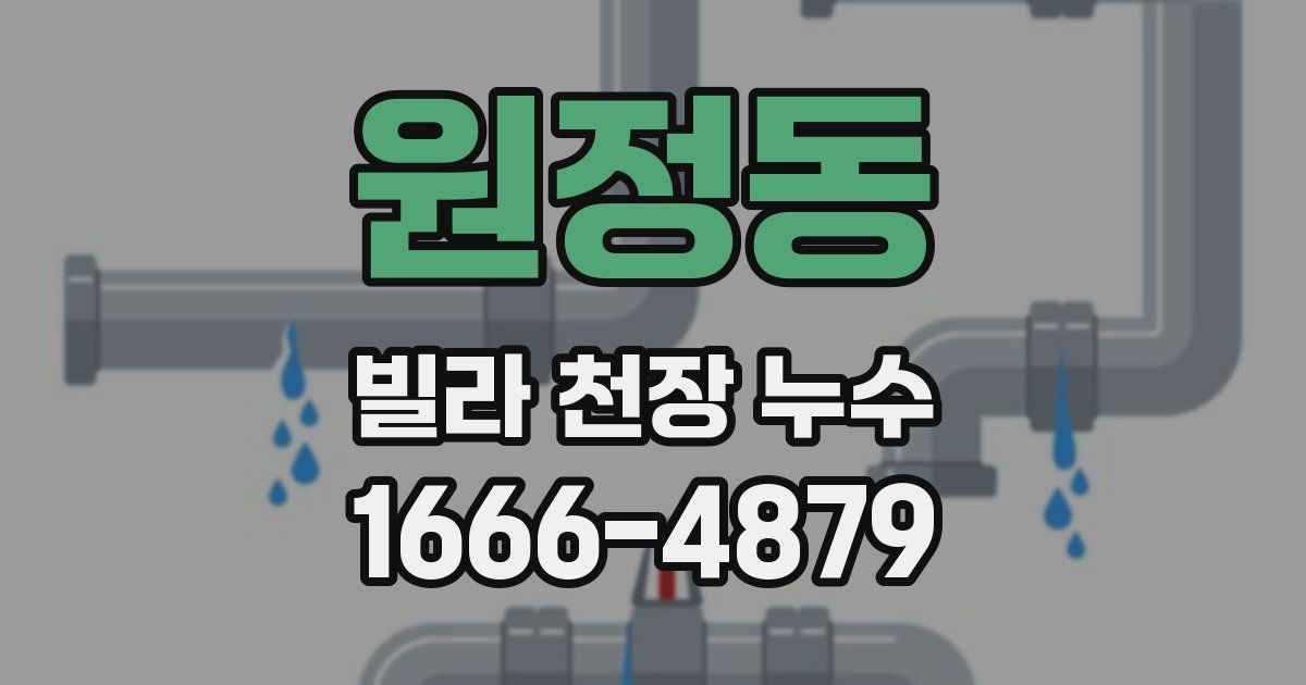 원정동 빌라 천장 누수
