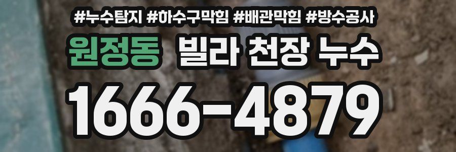 원정동 빌라 천장 누수