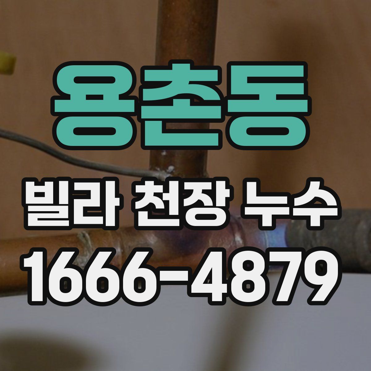 용촌동 빌라 천장 누수