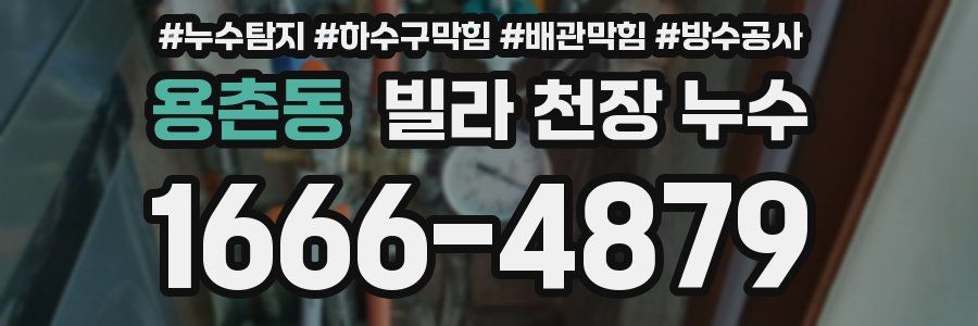 용촌동 빌라 천장 누수