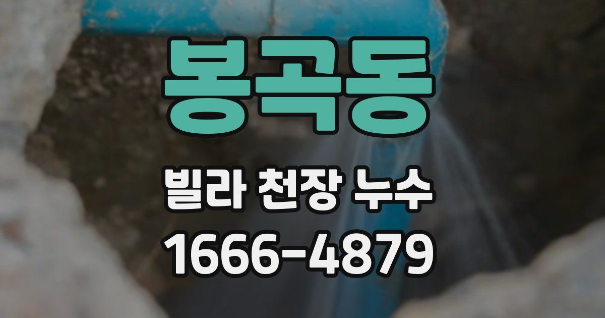 봉곡동 빌라 천장 누수