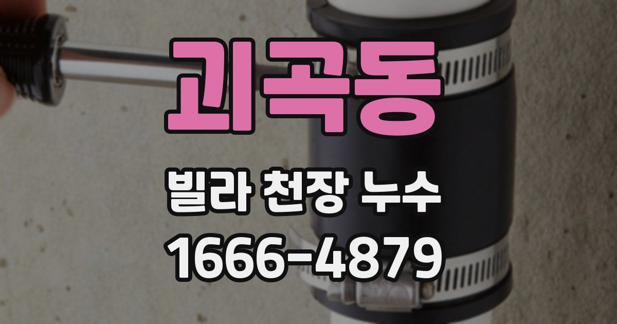 괴곡동 빌라 천장 누수