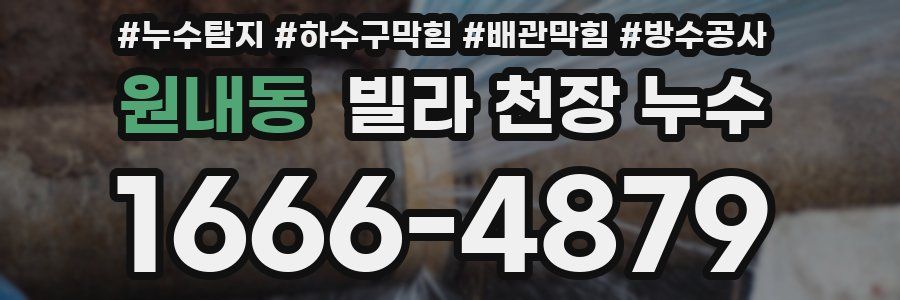 원내동 빌라 천장 누수