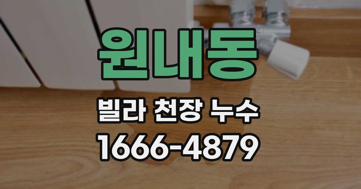 원내동 빌라 천장 누수