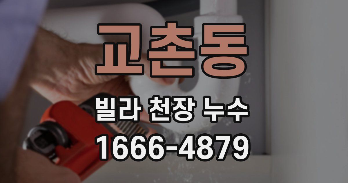 교촌동 빌라 천장 누수