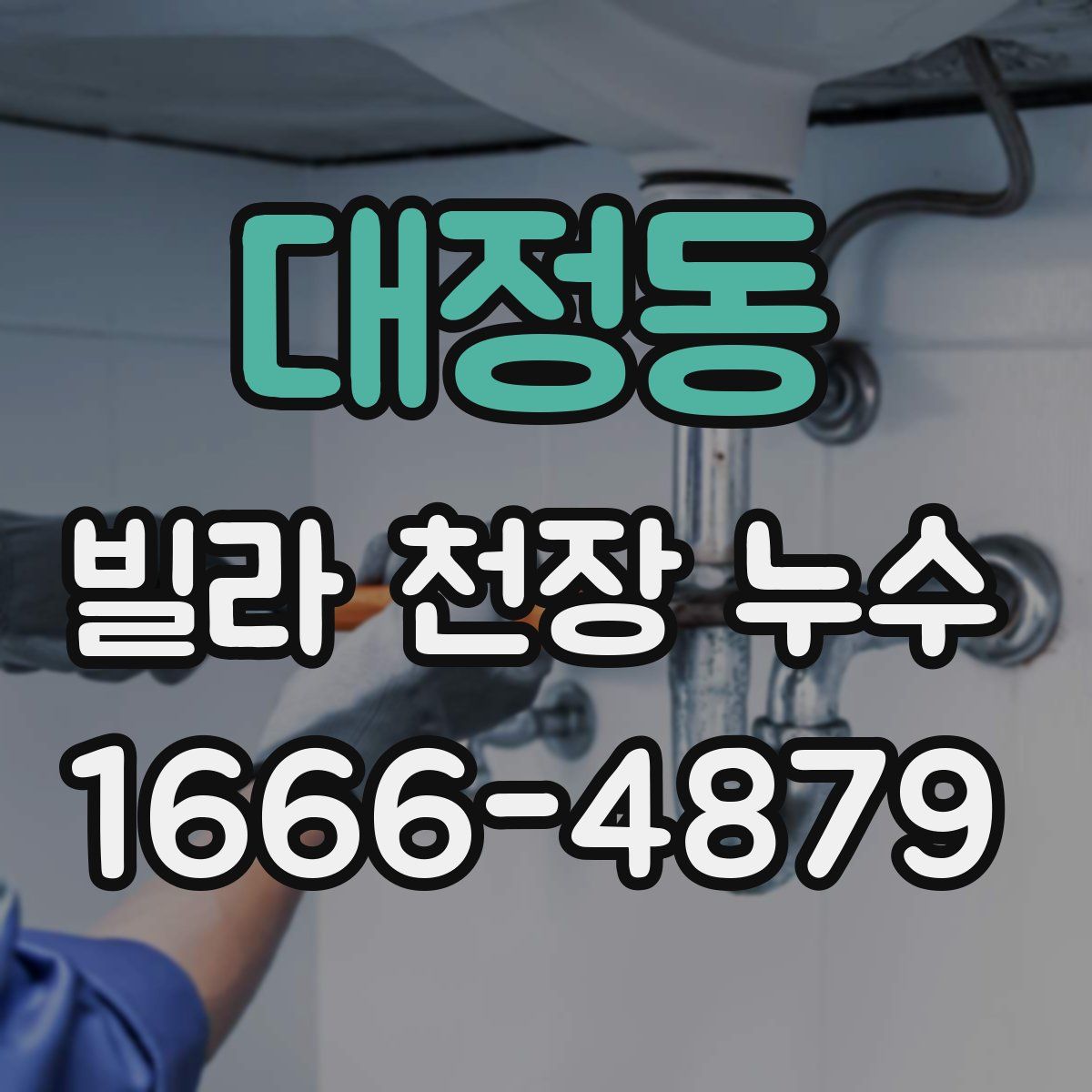 대정동 빌라 천장 누수