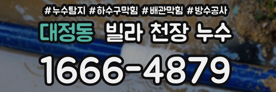 대정동 빌라 천장 누수