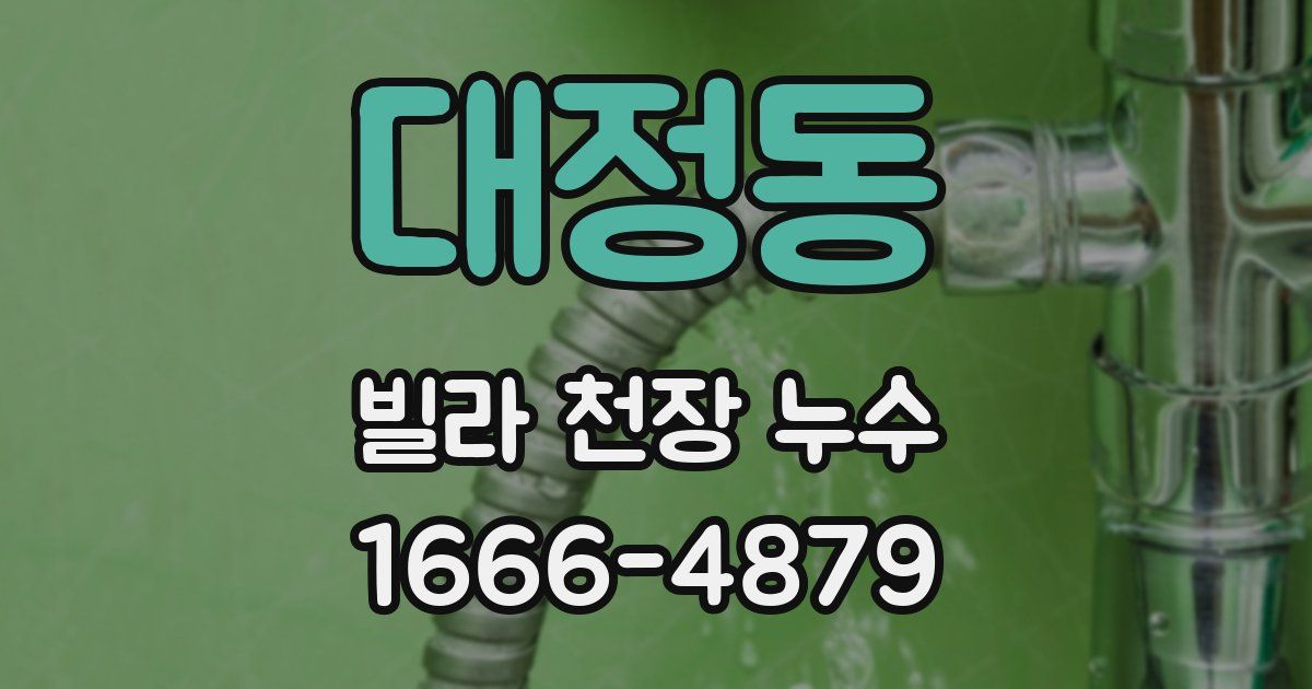 대정동 빌라 천장 누수