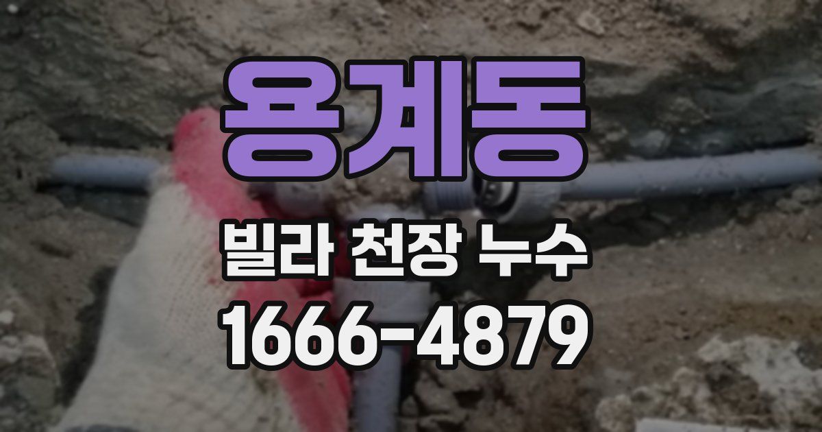 용계동 빌라 천장 누수