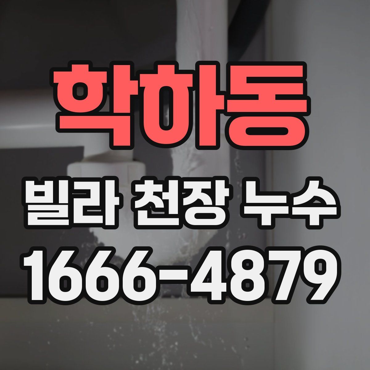 학하동 빌라 천장 누수