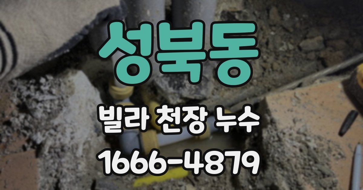 성북동 빌라 천장 누수
