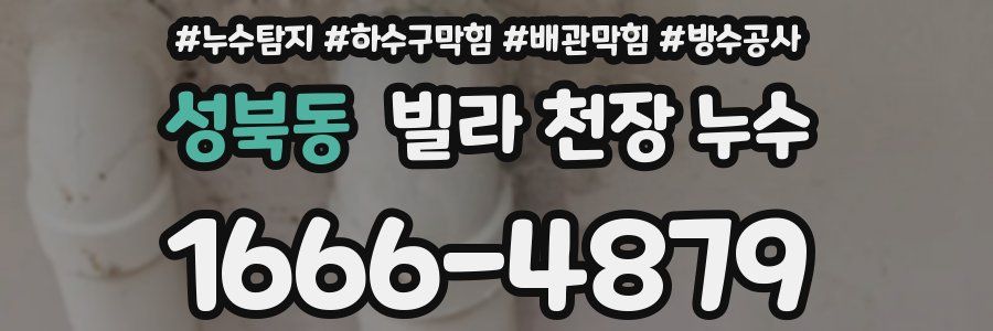 성북동 빌라 천장 누수