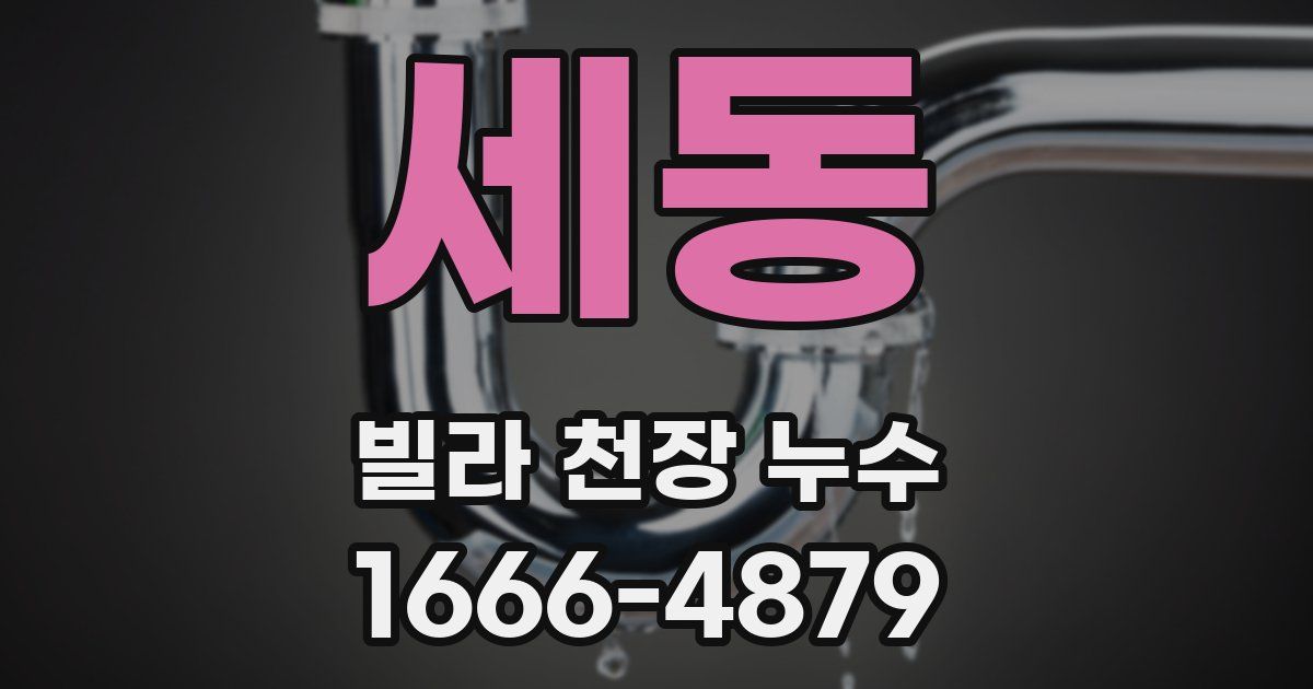 세동 빌라 천장 누수