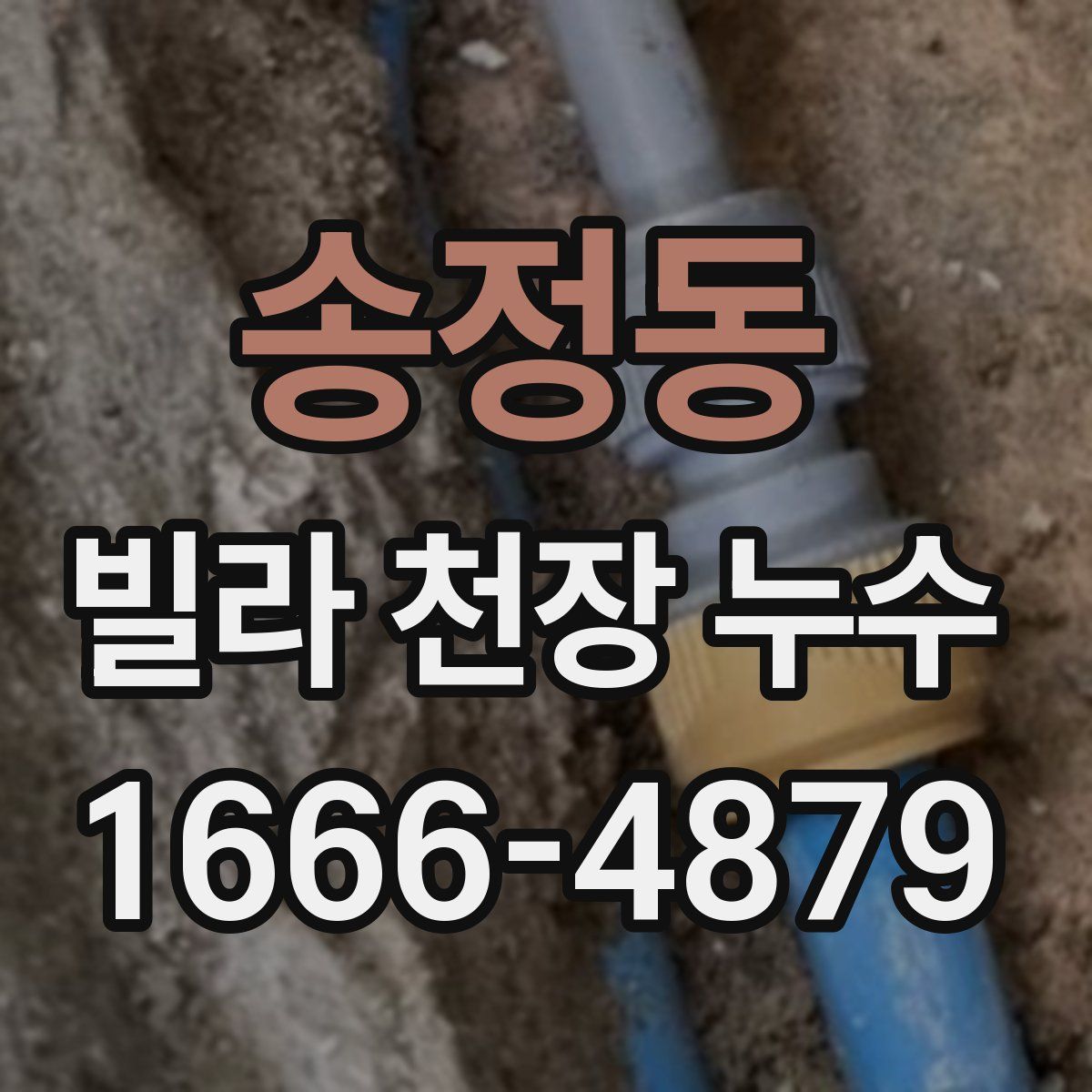 송정동 빌라 천장 누수