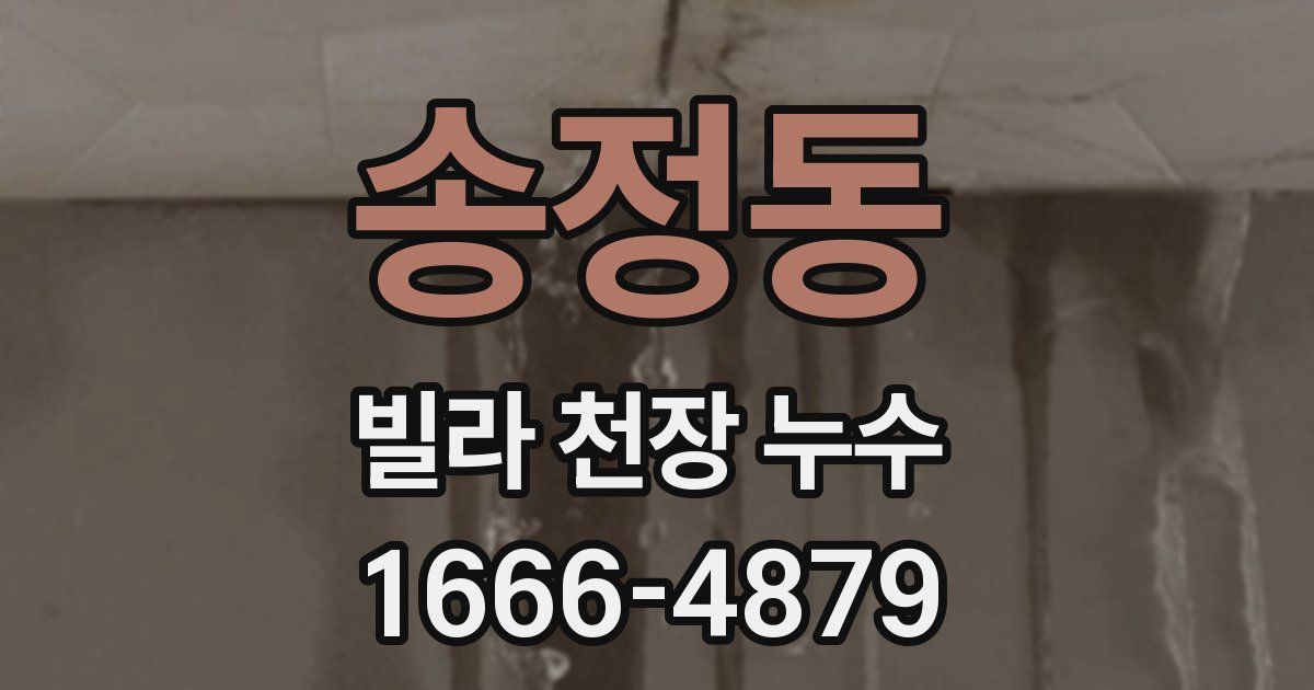 송정동 빌라 천장 누수