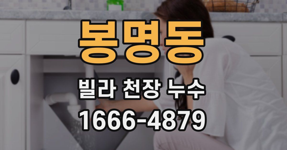봉명동 빌라 천장 누수