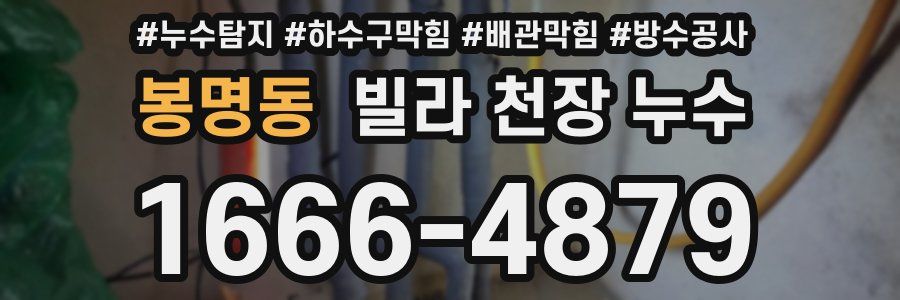 봉명동 빌라 천장 누수