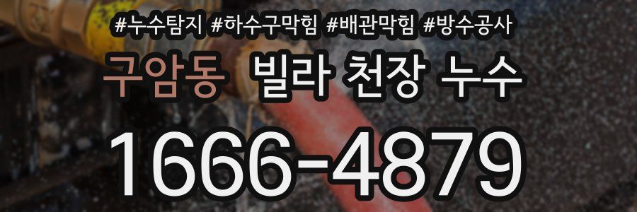 구암동 빌라 천장 누수