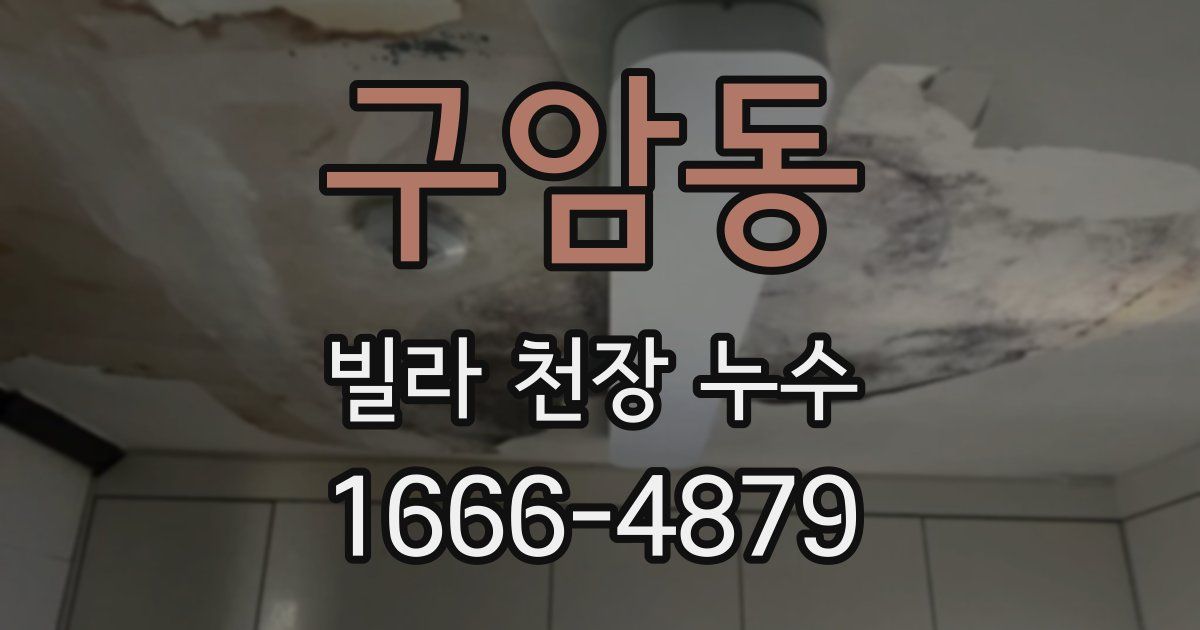 구암동 빌라 천장 누수