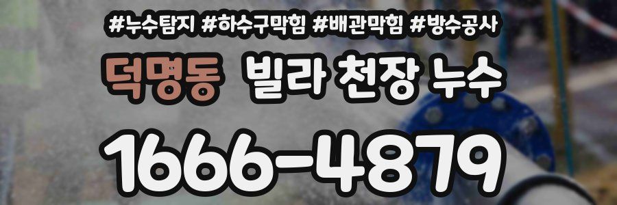 덕명동 빌라 천장 누수