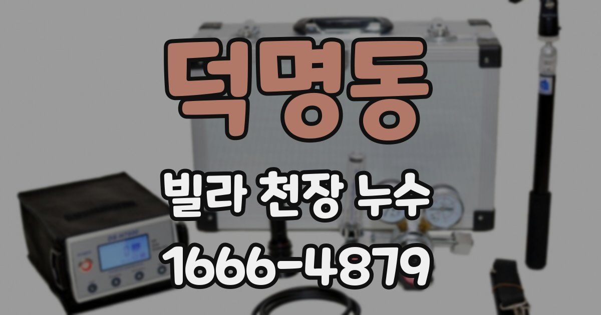 덕명동 빌라 천장 누수