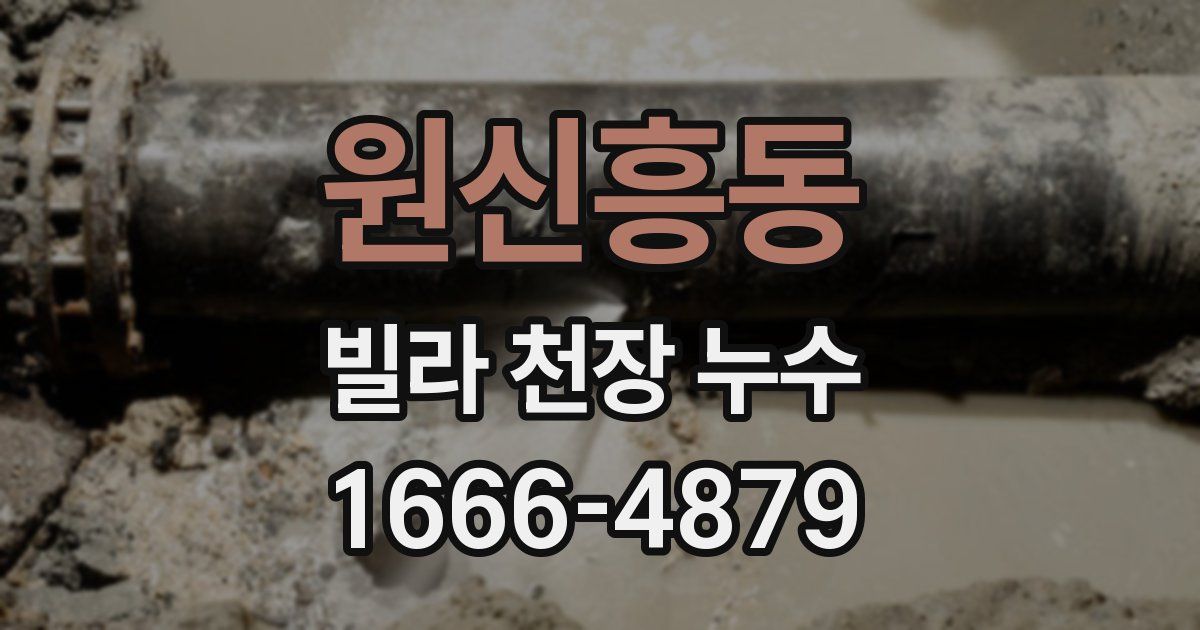 원신흥동 빌라 천장 누수