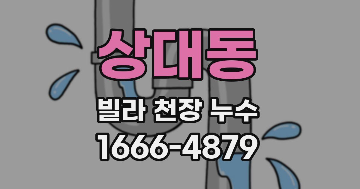 상대동 빌라 천장 누수