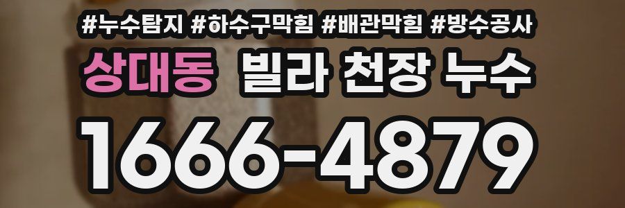 상대동 빌라 천장 누수