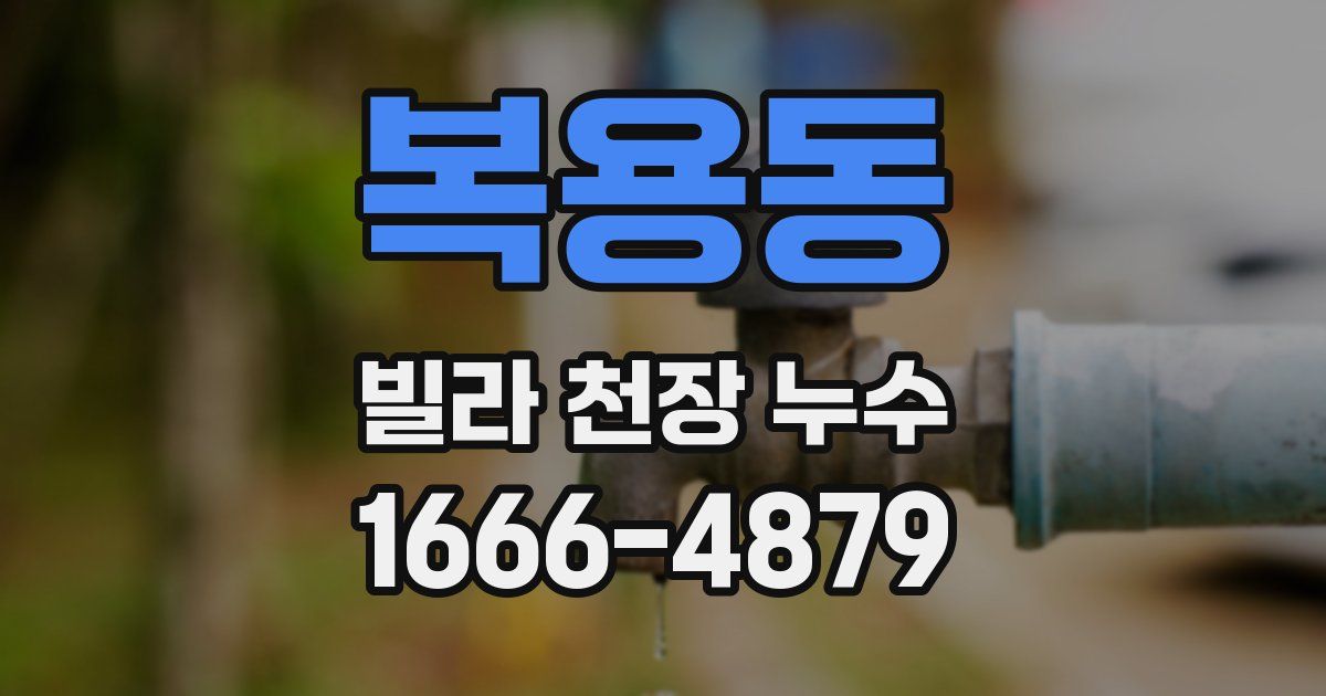 복용동 빌라 천장 누수