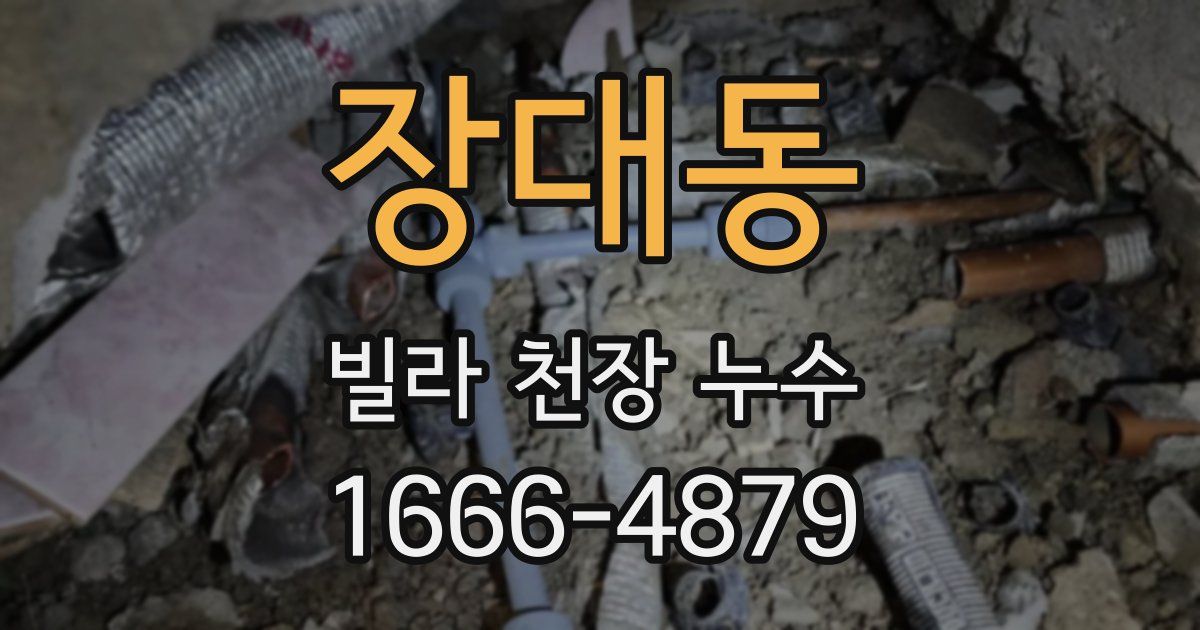 장대동 빌라 천장 누수