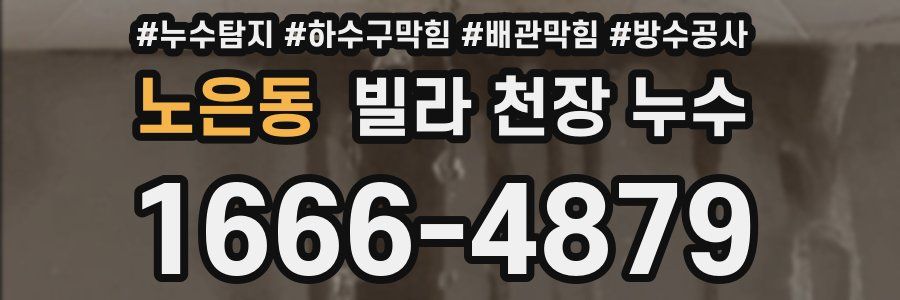노은동 빌라 천장 누수
