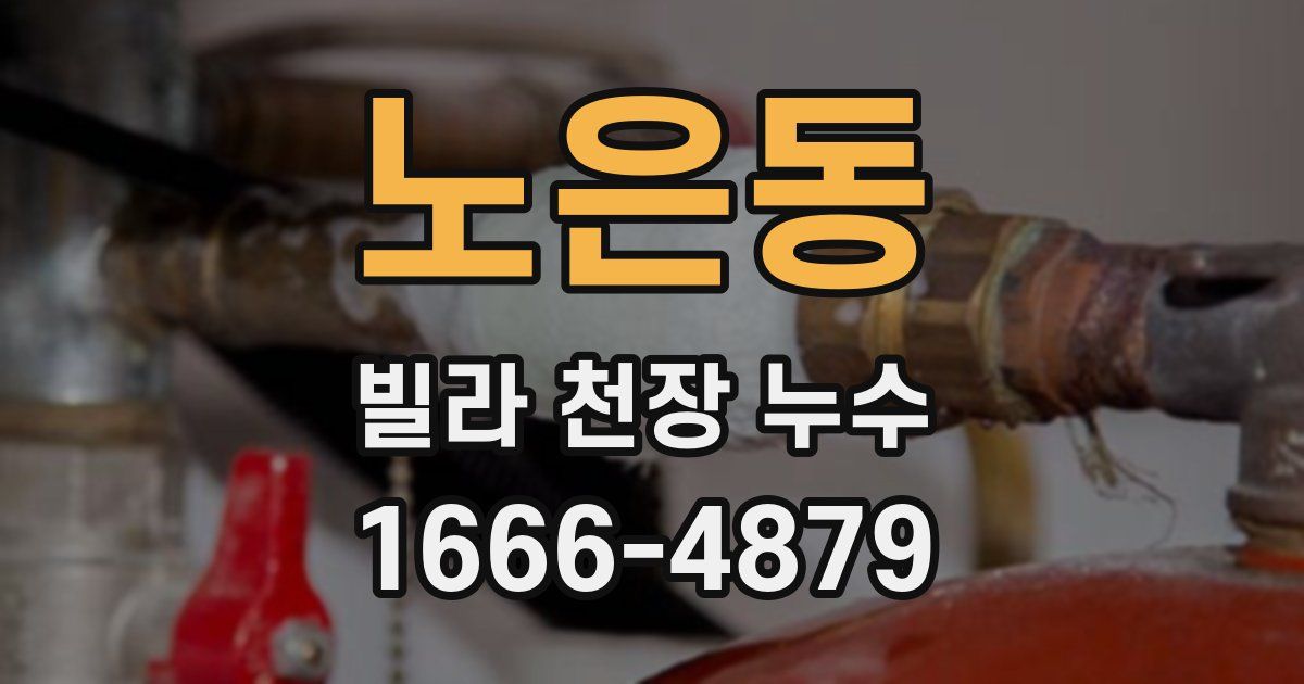 노은동 빌라 천장 누수