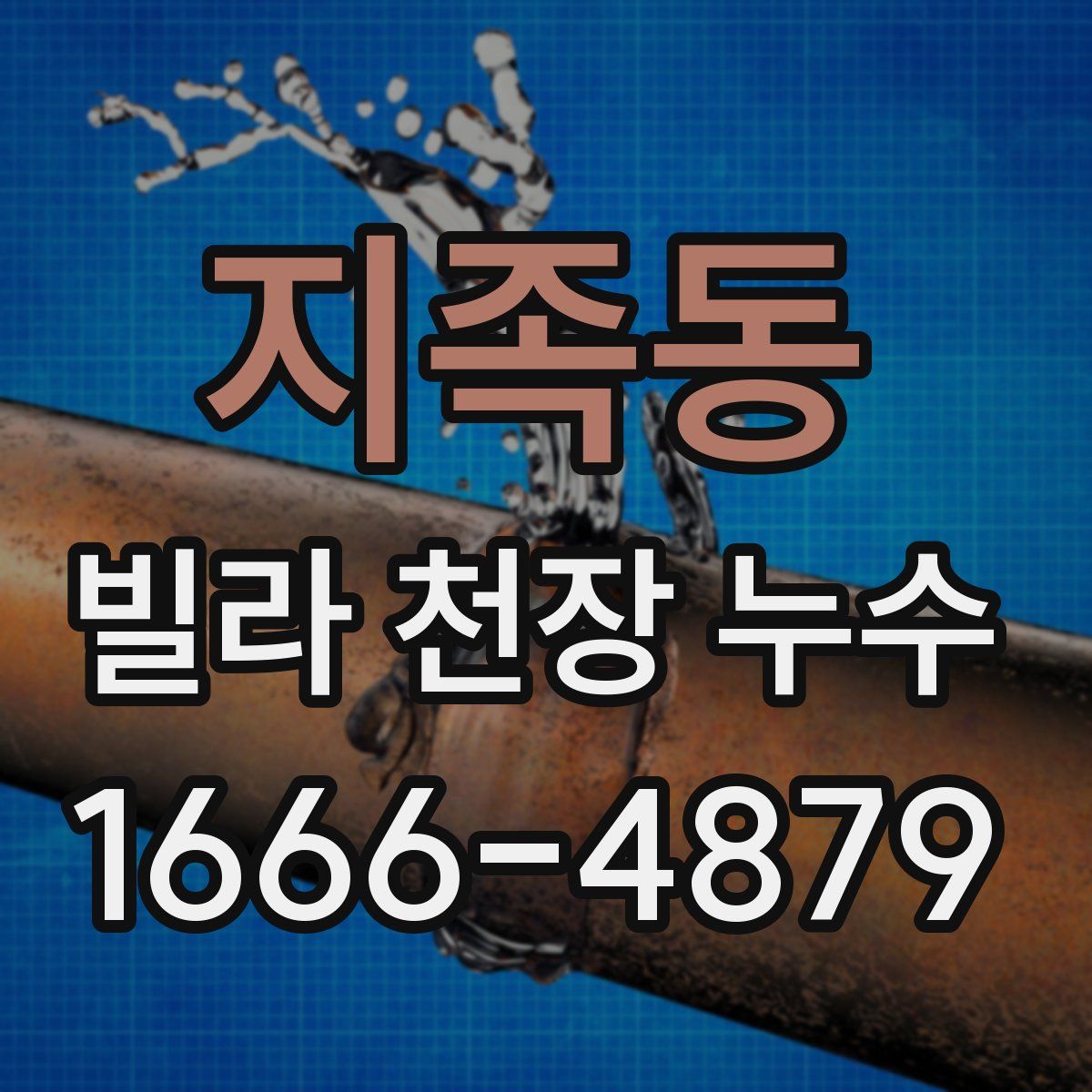 지족동 빌라 천장 누수