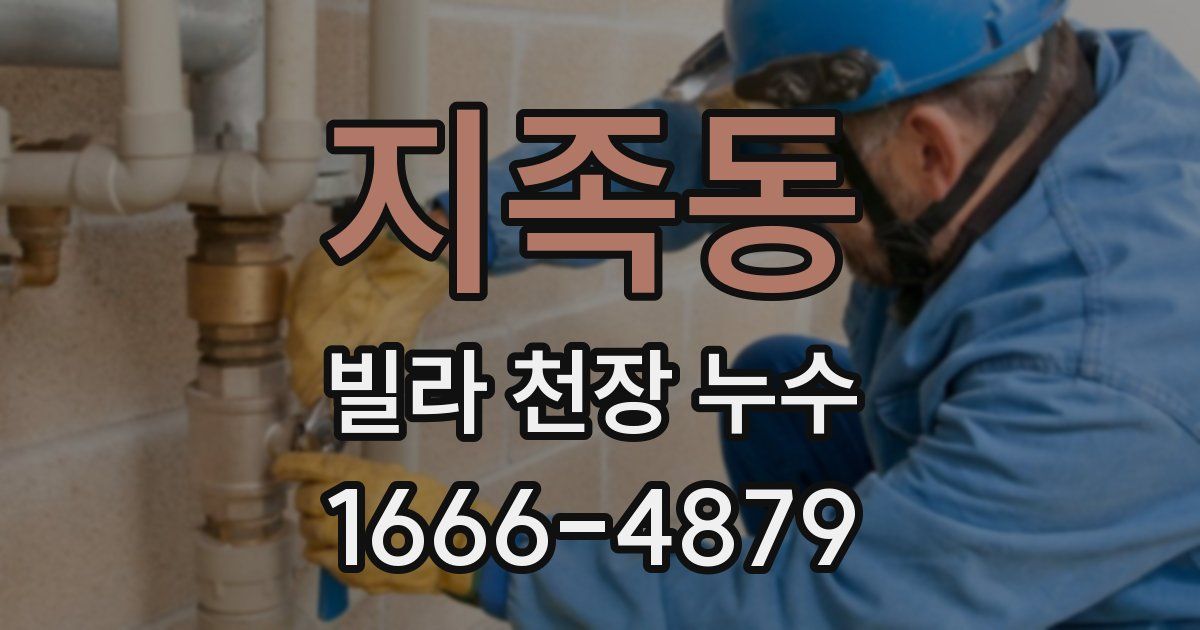 지족동 빌라 천장 누수