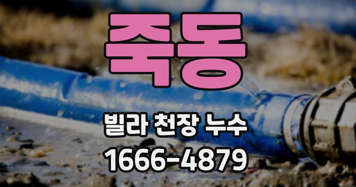 죽동 빌라 천장 누수