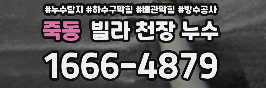 죽동 빌라 천장 누수