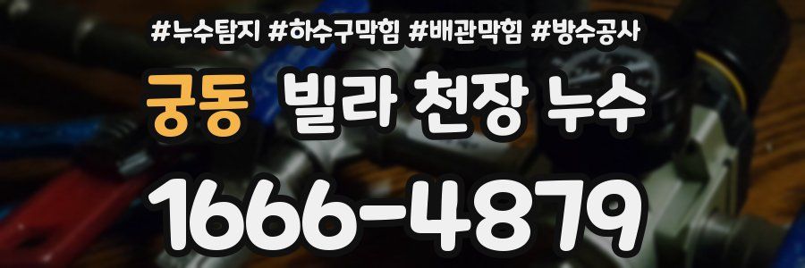 궁동 빌라 천장 누수