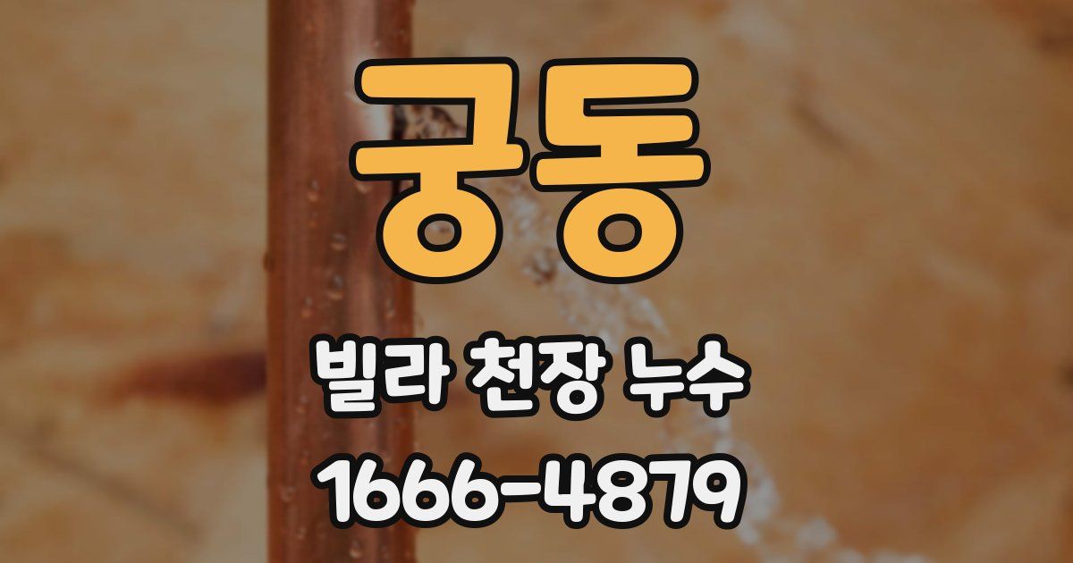 궁동 빌라 천장 누수