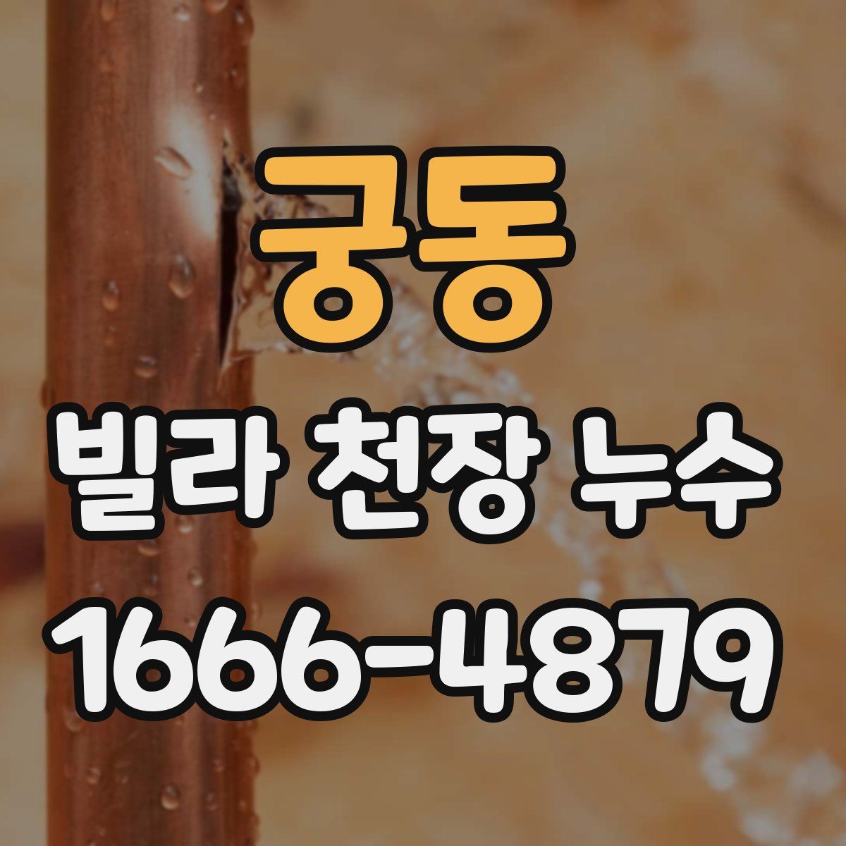 궁동 빌라 천장 누수