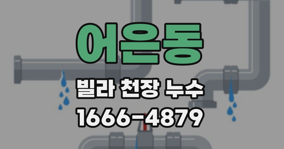 어은동 빌라 천장 누수