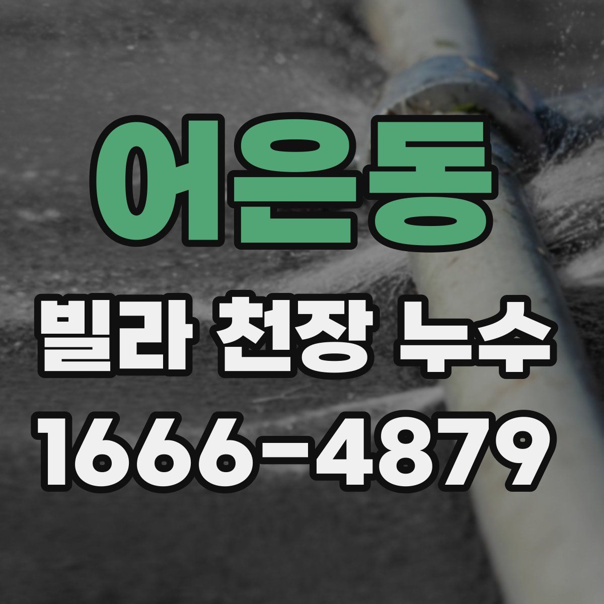 어은동 빌라 천장 누수
