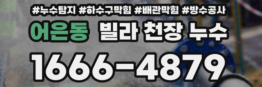 어은동 빌라 천장 누수