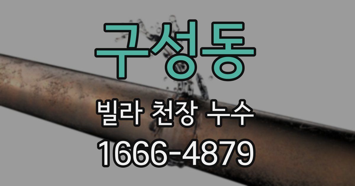 구성동 빌라 천장 누수