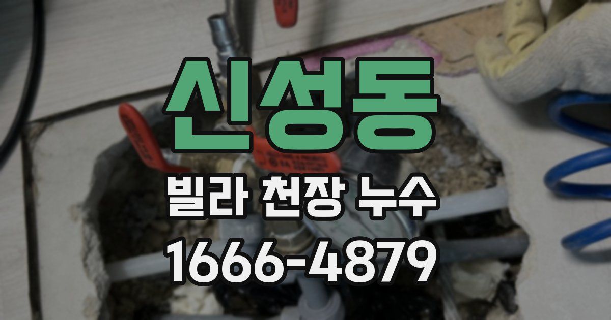 신성동 빌라 천장 누수