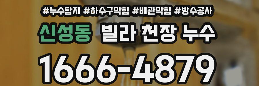 신성동 빌라 천장 누수